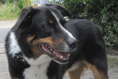Oskar ein halbes Jahr nach dem Beginn der Behandlung mit einer Blasenentzündung (c) Dr. Ada von Kriegsheim