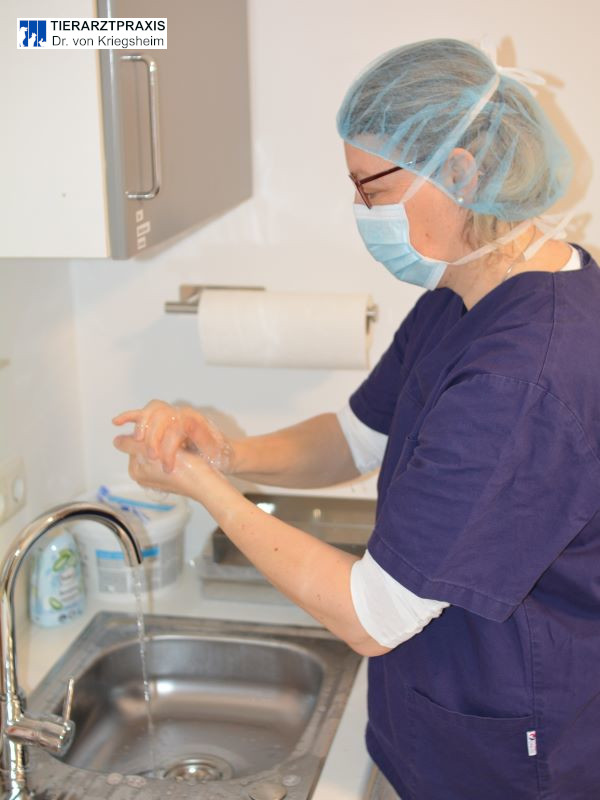 Hygiene ist eine wichtige Voraussetzung für einen erfolgreichen Eingriff.