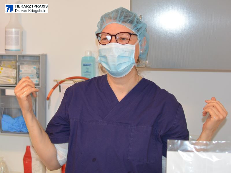 Die OP-Handschuhe, bitte.