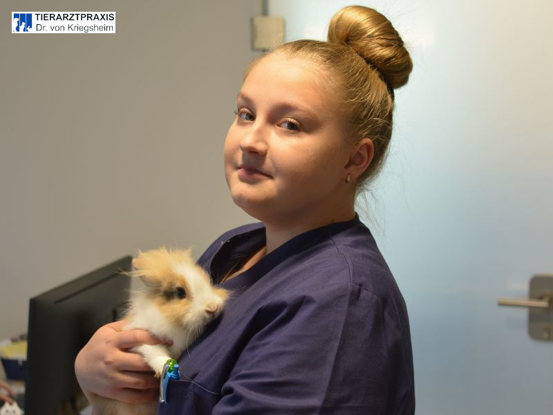 Kaninchen knuddeln nach einer Untersuchung.