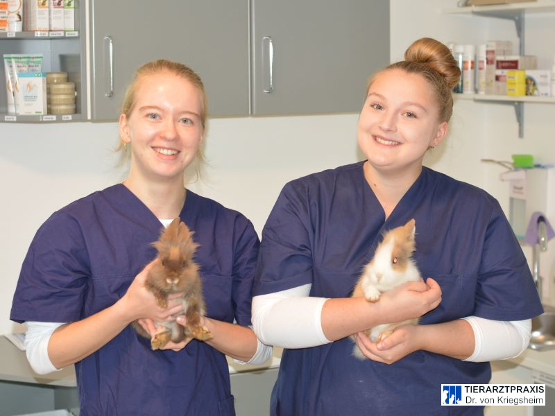 Zeit für unsere Patienten.