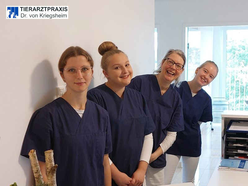 Das Praxisteam in der Tierarztpraxis Dr. von Kriegsheim.